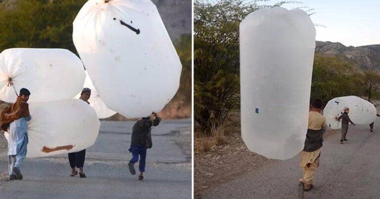 Çarəsizliyin şəkli – torbalara doldurub evlərinə aparırlar – FOTO Çarəsizliyin şəkli – torbalara doldurub evlərinə aparırlar – FOTO