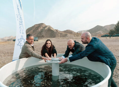 Leyla Əliyeva Mingəçevirdə ekoloji aksiyalarda iştirak edib – FOTO