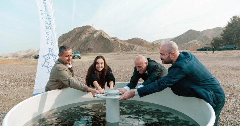 Leyla Əliyeva Mingəçevirdə ekoloji aksiyalarda iştirak edib – FOTO