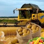 Bu kənd təsərrüfatı məhsulları bahalaşa bilər – HAVA FAKTORU…