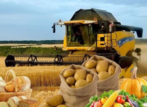 Bu kənd təsərrüfatı məhsulları bahalaşa bilər – HAVA FAKTORU…