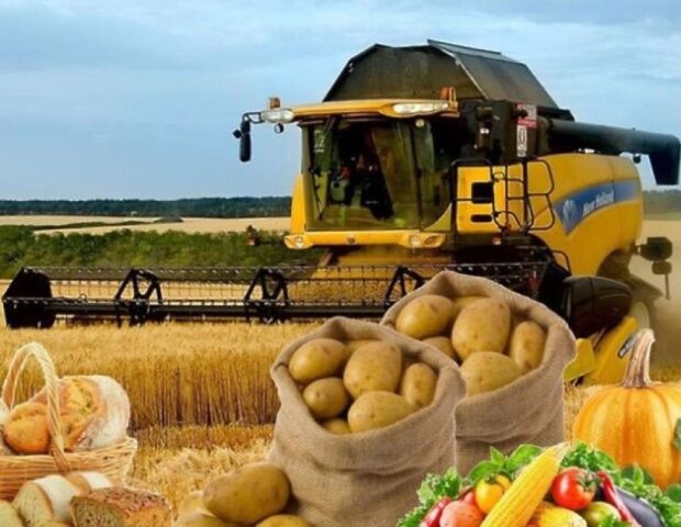 Bu kənd təsərrüfatı məhsulları bahalaşa bilər – HAVA FAKTORU…