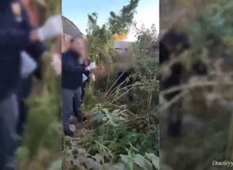 Naxçıvan polisi əməliyyat keçirdi – Narkotacirlər saxlanıldı