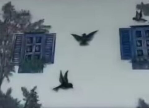 Zəngilandakı evinin divarında sənət əsəri yaratdı – VİDEO