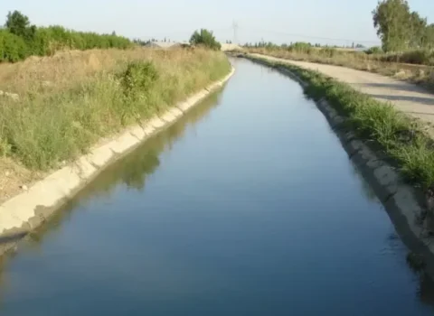 Su arxında meyit tapıldı