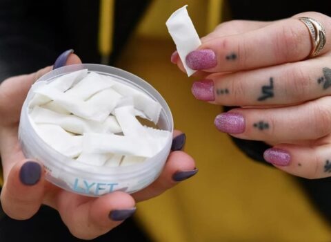 Göbələkdən hazırlanan bu qida TƏHLÜKƏ SAÇIR