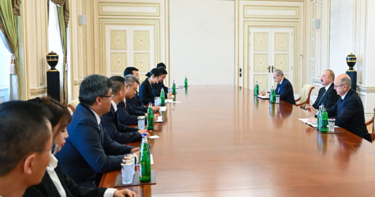 Prezident Çin şirkətinin nümayəndə heyətini qəbul etdi – FOTO