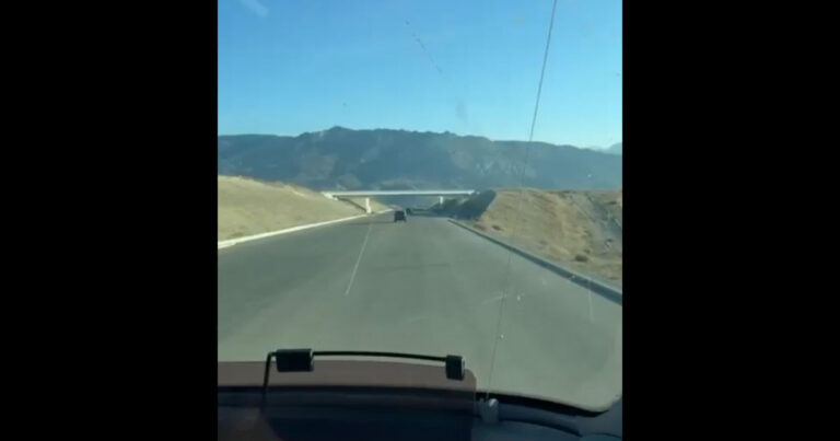 Hikmət Hacıyev paylaşım edib – VİDEO