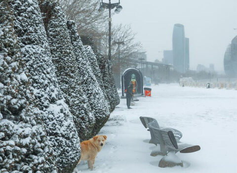 Bu il Bakıya qar yağacaq?