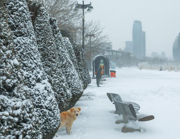 SON DƏQİQƏ: Yanvar ayında hava BELƏ OLACAQ – Ağbabanın -37°C şaxtası gözlənilir?