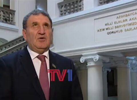 Göyə baxan akademik – Bir çıxışın anatomiyası və ya İsa Həbibbəylinin ŞOK STENOQRAMI