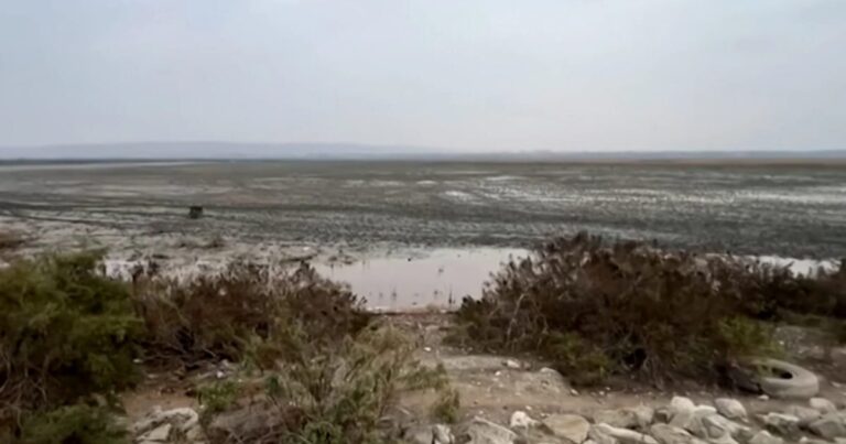 Azərbaycanın ən böyük göllərindən biri yoxa çıxır – VİDEO