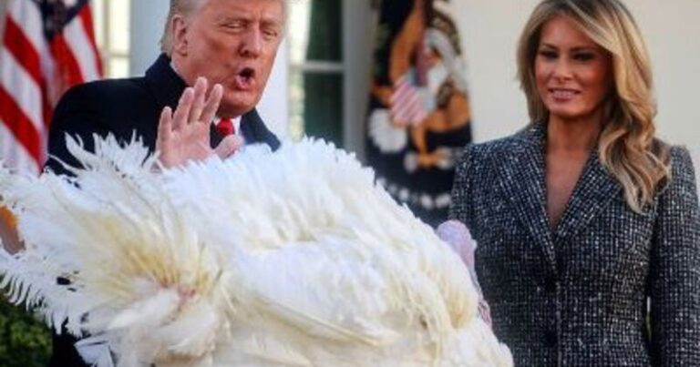 Tramp iki hinduşkanı əfv edəcək Tramp iki hinduşkanı əfv edəcək