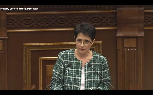 Hikmət Hacıyev Bakıda bizə bunu qadağan etmədi – Sultanyan