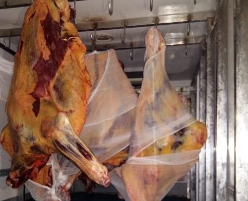 Birgə əməliyyat: iki ton yararsız ət aşkarlandı – Video