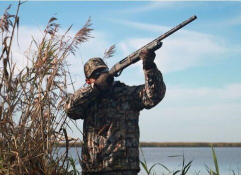 Qanunsuz ov edənlər saxlanıldı: Əcnəbilər Azərbaycanda ova niyə maraq göstərir?