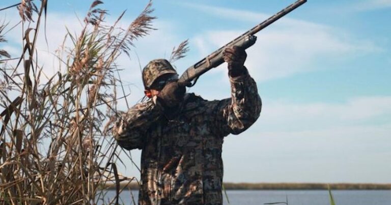 Qanunsuz ov edənlər saxlanıldı: Əcnəbilər Azərbaycanda ova niyə maraq göstərir? Qanunsuz ov edənlər saxlanıldı: Əcnəbilər Azərbaycanda ova niyə maraq göstərir?