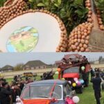 Qoz, fındıq, hinduşka.. – “Vəzifəli şəxslər məhsulu pulsuz aparır”