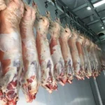 Monqolustandan gətirilən ətlə bağlı VACİB AÇIQLAMA: Həm dini, həm də gigiyenik baxımdan…