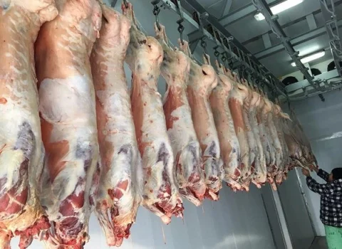 Monqolustandan gətirilən ətlə bağlı VACİB AÇIQLAMA: Həm dini, həm də gigiyenik baxımdan…