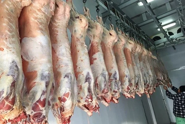 Monqolustandan gətirilən ətlə bağlı VACİB AÇIQLAMA: Həm dini, həm də gigiyenik baxımdan… Monqolustandan gətirilən ətlə bağlı VACİB AÇIQLAMA: Həm dini, həm də gigiyenik baxımdan…
