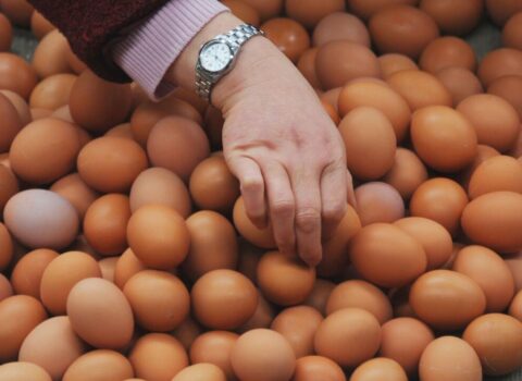 Azərbaycanda yumurta UCUZLAŞACAQ – TARİX