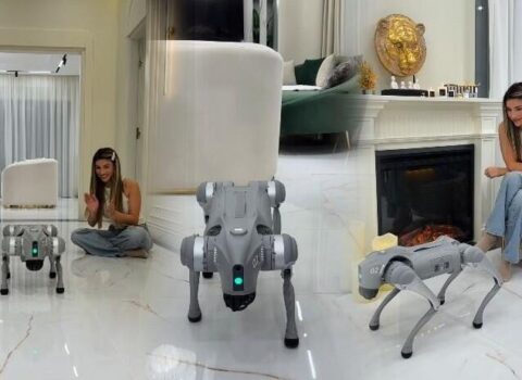 Azərbaycanlı bloger robot it alıb