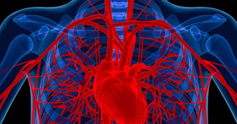 Alimlər xəstənin öz hüceyrələrindən damar hazırladı Alimlər xəstənin öz hüceyrələrindən damar hazırladı