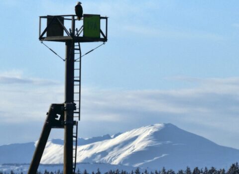 Alyaskada güclü zəlzələ olub