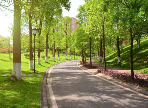 Azərbaycanda yeni park salınır – FOTO