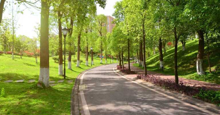 Azərbaycanda yeni park salınır – FOTO Azərbaycanda yeni park salınır – FOTO