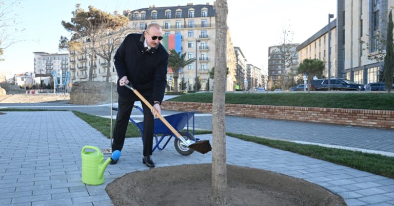 Parkdakı ilk palıd ağacını Prezident əkdi – Fotolar+Video Parkdakı ilk palıd ağacını Prezident əkdi – Fotolar+Video