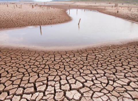 İran su axtarışında: Qonşu ölkələrlə danışıqlara başladı