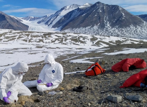 Yeni pandemiya: Vəhşi heyvanlar insan məskənlərinə yaxınlaşacaq