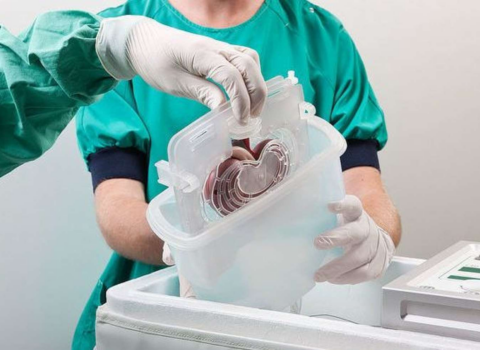 Orqan alveri edən qadın Qazaxıstana ekstradisiya edildi – Azərbaycanda da fəaliyyət göstərib