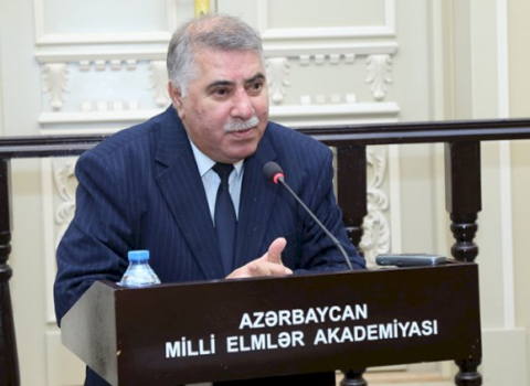 İnstitut direktoru: Azərbaycan dilində rəsmi üslub bərbad gündədir
