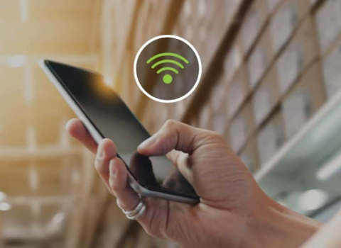 Paytaxtda dələduzluq edən SMM saxlanıldı