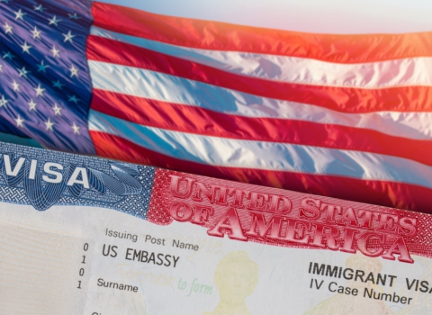 ABŞ 85.000 vizanı ləğv etdi