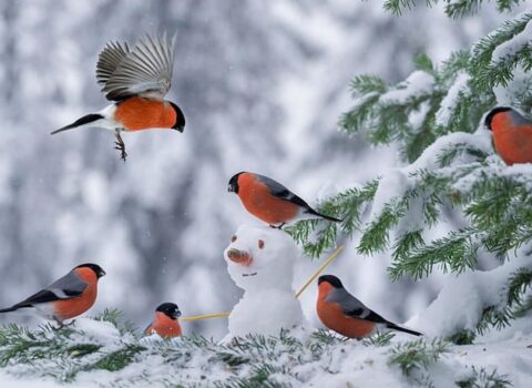 QAR YAĞACAQ – İNTENSİVLƏŞƏCƏK