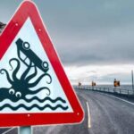 Dünyanın ən qəribə yol nişanı və onun gizli mənası