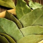 Dəfnə yarpağının SİRLİ MÖCÜZƏLƏRİ