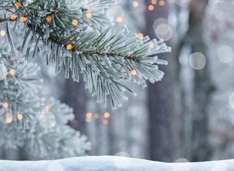 ƏHALİYƏ XƏBƏRDARLIQ: Bu tarixdə Bakıya güclü qar yağacaq