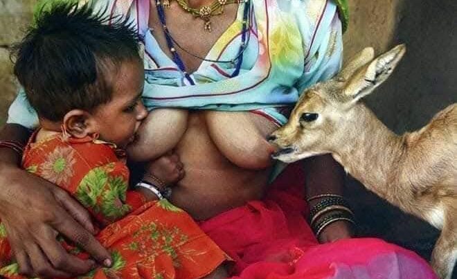 Dünyanın ən mərhəmətli xalqı – Onlar maral balalarını öz övladı kimi böyüdür – FOTOLAR