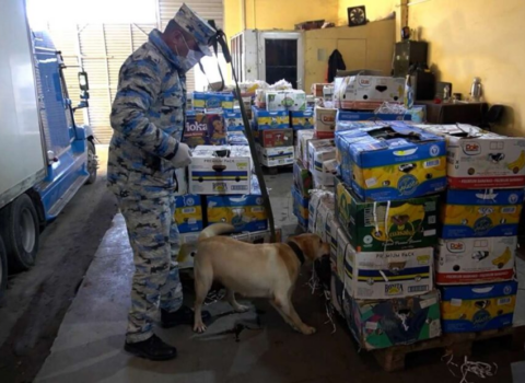 Qarpız adı ilə İrana aparırdılar – Astara gömrüyündə narkotik olduğu üzə çıxdı