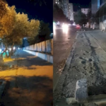 Xırdalanda ağac kəsən şirkət rəsmisi böyük məbləğdə cərimələndi