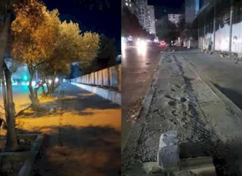 Xırdalanda ağac kəsən şirkət rəsmisi böyük məbləğdə cərimələndi
