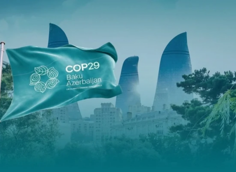 COP29 Azərbaycan Əməliyyat Şirkəti ləğv edildi