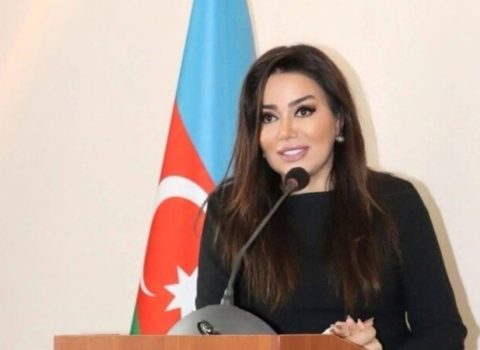 Nəsimi rayonuna rəhbərlik bu xanıma tapşırıldı