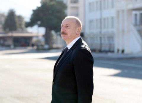Prezident Çıldıran kəndindəki işlərlə tanış oldu – FOTO