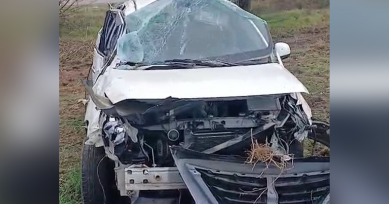 Qəbələdə ağır qəza – 28 yaşlı sürücü öldü Qəbələdə ağır qəza – 28 yaşlı sürücü öldü